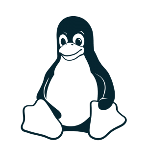 Linux Remote Support
